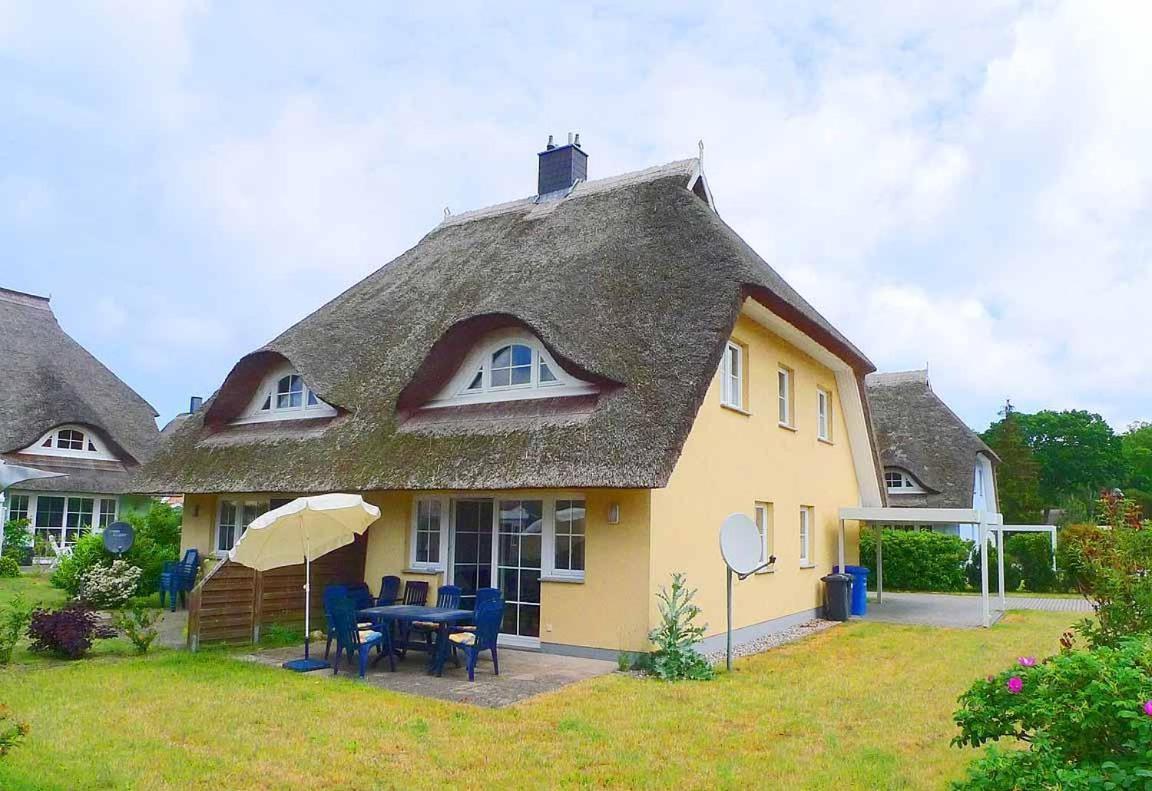 Ferienhaus An Der Alten Waldschaenke Ws-11A Born Ngoại thất bức ảnh