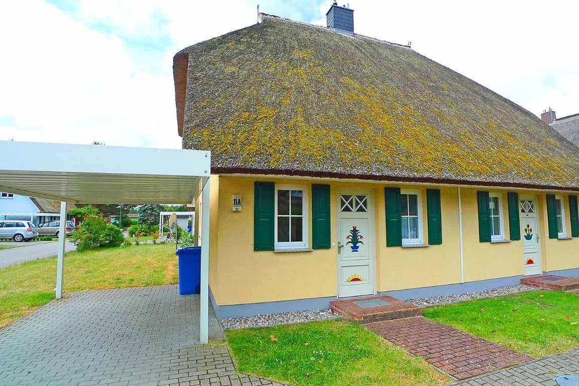 Ferienhaus An Der Alten Waldschaenke Ws-11A Born Ngoại thất bức ảnh